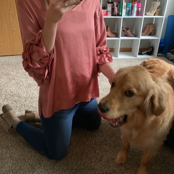 Meet your Posher, Macy - Picture 6 of 7